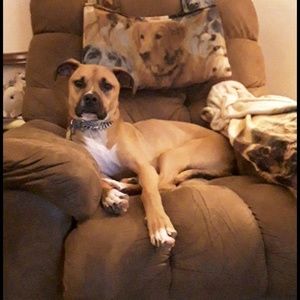 Meet your Posher, Deborah